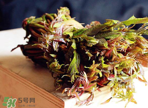 香椿很貴嗎？香椿為什么那么貴？