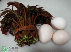 哺乳期可以吃香椿炒雞蛋嗎？哺乳期可以吃香椿炒雞蛋嗎？