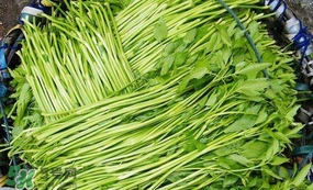 水芹菜怎么吃？水芹菜的做法