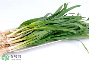 蒜苗發(fā)黃怎么回事？蒜苗發(fā)黃是什么原因？