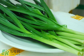 蒜苗發(fā)黃怎么回事？蒜苗發(fā)黃是什么原因？