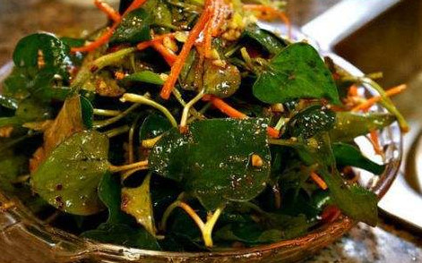 魚腥草根和葉哪個好？魚腥草根好還是葉子好