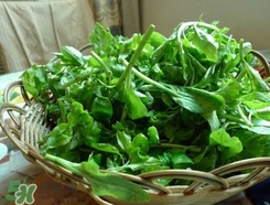 枸杞頭怎么吃？枸杞頭如何吃