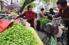 吃榆錢有什么好處?吃榆錢有什么禁忌? 吃榆錢有什么好處?吃榆錢有什么禁忌?