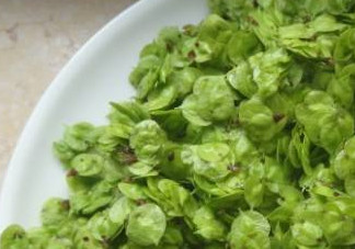 榆錢有什么特點？榆錢有什么作用