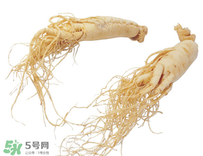 孕婦能吃人參嗎？孕婦可以吃人參嗎？