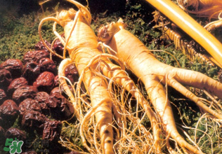 孕婦能吃人參嗎？孕婦可以吃人參嗎？