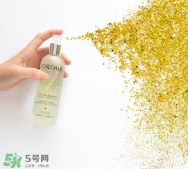 歐緹麗和悅木之源哪個(gè)好？歐緹麗皇后水和悅木之源菌菇水