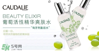 歐緹麗和悅木之源哪個(gè)好？歐緹麗皇后水和悅木之源菌菇水