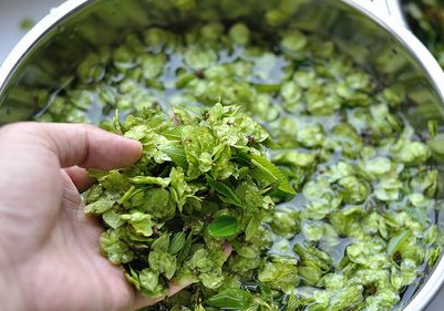 榆錢樹(shù)果實(shí)怎么吃?榆樹(shù)的果實(shí)怎么吃? 榆錢樹(shù)果實(shí)怎么吃?榆樹(shù)的果實(shí)怎么吃?