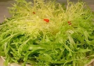 孕婦能吃苦苣嗎？孕婦可以吃苦苣嗎