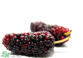 桑葚可以冷凍嗎？桑葚能冷凍保存嗎？