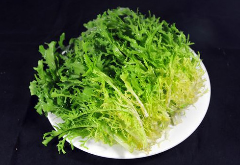 孕婦能吃苦苣嗎？孕婦可以吃苦苣嗎