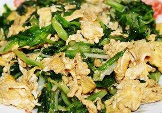 苦苣能和雞蛋一起吃嗎？苦苣能炒雞蛋嗎