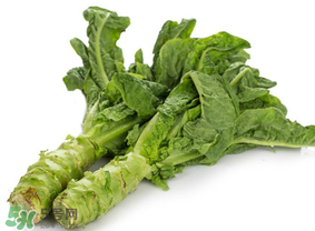 萵筍為什么會苦？萵筍苦能吃嗎？