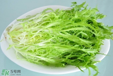 苦苣根哪里有賣？苦苣根茶在那里買的到