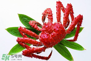 香椿能和海鮮一起吃嗎？香椿和海鮮能一起吃嗎？