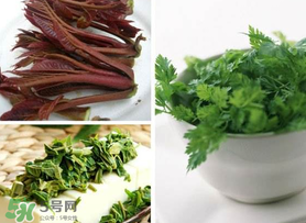 香椿和香菜能一起吃嗎？香椿和香菜怎么做？