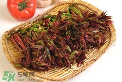 香椿葉能吃嗎？香椿葉孕婦能吃嗎？