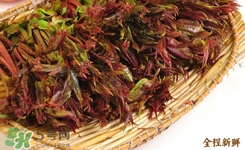 香椿葉能吃嗎？香椿葉孕婦能吃嗎？