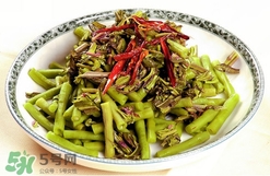 香椿葉能吃嗎？香椿葉孕婦能吃嗎？