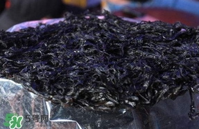 苦菊能和紫菜一起吃嗎？苦菊可以和紫菜一起吃嗎