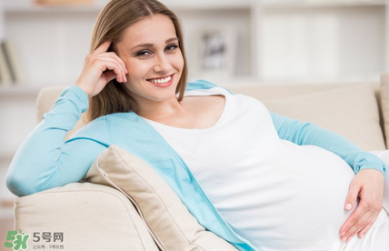 孕婦能喝人參雞湯嗎?人參雞湯孕婦可以喝嗎? 孕婦能喝人參雞湯嗎?人參雞湯孕婦可以喝嗎?