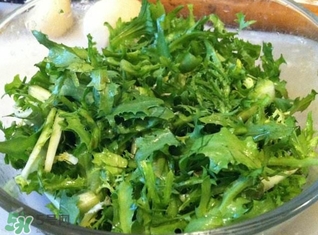 苦菊能炒嗎？苦菊能炒著吃嗎