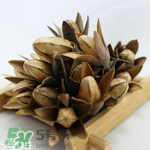 香椿樹種子的藥用價值 香椿籽的藥用價值 香椿樹種子的藥用價值 香椿籽的藥用價值