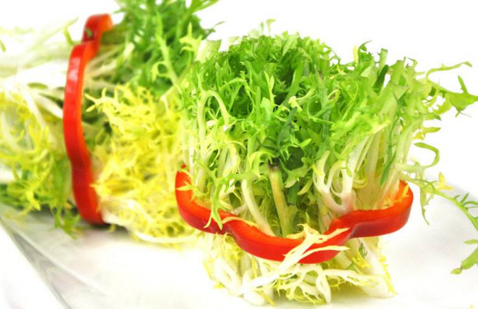 苦菊和什么相克？苦菊不能和什么同吃