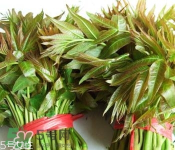 香椿樹種子的藥用價值 香椿籽的藥用價值 香椿樹種子的藥用價值 香椿籽的藥用價值