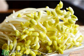 香椿和豆芽能一起吃嗎？香椿豆芽的做法大全