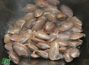 花甲不開(kāi)口怎么辦？怎么讓花甲開(kāi)口？