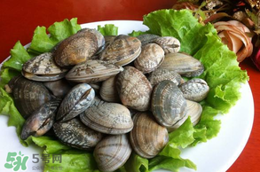 花甲不開(kāi)口怎么辦？怎么讓花甲開(kāi)口？