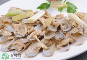 花甲怎么保存不會死？花甲怎么保存到次日？