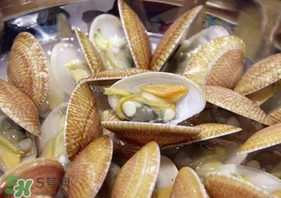 花甲什么部位不能吃？花甲哪里不能吃圖解？