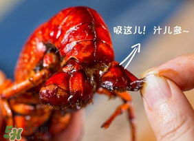 吃油燜大蝦會(huì)胖嗎？油燜大蝦的熱量是多少？