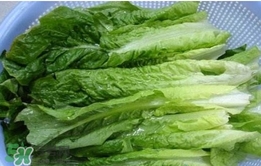 萵苣葉怎么吃？萵苣葉怎么做好吃