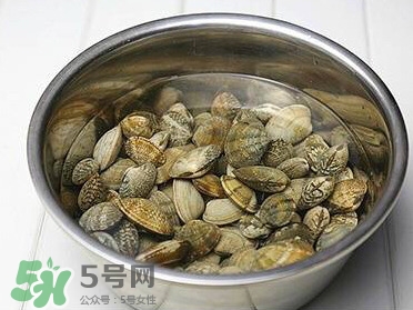 芒果螺孕婦能吃嗎？芒果螺孕婦可以吃嗎