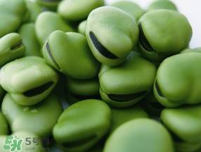 蠶豆發(fā)芽能吃嗎？蠶豆長芽了還能吃嗎？