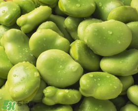 蠶豆發(fā)芽能吃嗎？蠶豆長芽了還能吃嗎？