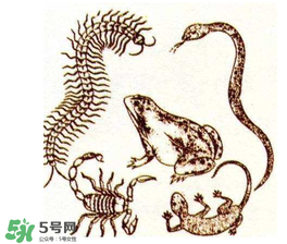 五毒日是哪幾天？2017年五毒日是哪幾天？