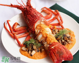 龍蝦怎么養(yǎng)不會死？大龍蝦怎么養(yǎng)不會死？