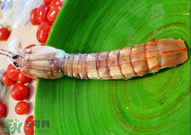 皮皮蝦哪些部位不能吃？皮皮蝦什么部位不能吃？