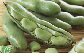 蠶豆要焯水嗎？炒蠶豆要焯水嗎？