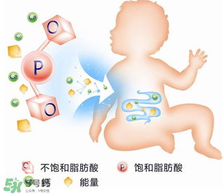 kabrita佳貝艾特羊奶粉怎么樣？kabrita佳貝艾特羊奶粉好不好？