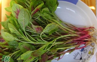 莧菜怎么洗？莧菜怎么擇