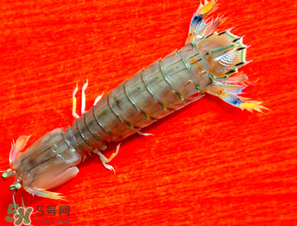 皮皮蝦煮多長(zhǎng)時(shí)間？水煮皮皮蝦多長(zhǎng)時(shí)間？