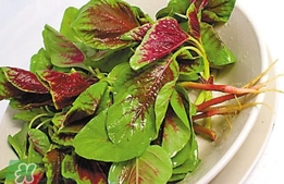 莧菜怎么吃？莧菜怎么炒