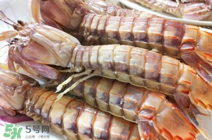 皮皮蝦黃能吃嗎？皮皮蝦黃的營養(yǎng)價值